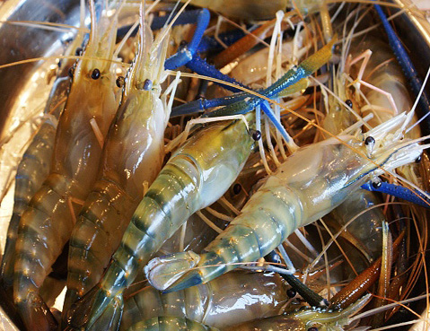 导购_天极网_专业IT门户